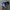 Air Jordan 1 Retro High OG "Game Royal" photo 3