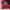 Dickies Vintage Minimalist Legging Pria Red