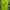 Jersey away Barcelona 2018/19 Go photo 2