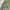 Made in USA Streetwear Vintage Parka Pria green photo 7