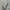 Adidas X9000L4 Authentic  photo 5