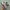 Adidas X9000L4 Authentic  photo 6
