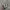 Adidas X9000L4 Authentic  photo 1