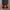 Adidas X9000L4 Authentic  photo 4