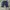 Evisu Rare Vintage Big Logo Daicock Navy Blue Jorts Selvedge photo 2