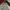 adidas sport essentials  crewneck sweater no lacoste pancoat photo 4