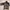 Turtleneck Motif