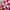 Croatia Jersey Home 98  photo 4