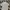Lacoste Luxury Casual Polo shirt Pria white photo 1