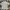 Lacoste Luxury Casual Polo shirt Pria white photo 2