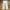 Cargo Pants LL Bean Light Gray