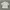 Cubufushi Blank White Cheongsam Shirt  photo 2