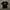 Nike camo  photo 1