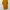 Yellow round neck t-shirt photo 4