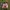 Kaos Anime idolmaster Mio Honda Aop cospa photo 1