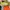 Nike Internasionalist photo 2