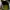 AeroStreet Vintage Casual Sneakers Pria green tan photo 3
