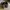 AeroStreet Vintage Casual Sneakers Pria green tan photo 2