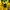 NIKE x BRASIL BNWT  photo 3