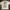 T-SHIRT SNSB photo 2