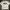 T-SHIRT SNSB photo 1