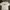 T-SHIRT SNSB