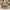 Coach Kristin Satchel/Top Handle Bag Handbags
Size 20 x 35 c photo 5