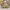 Coach Kristin Satchel/Top Handle Bag Handbags
Size 20 X 35 C