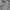 Helmut Lang Luxury Avant Garde Sweatshirt Wanita gray photo 3