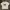 T-SHIRT SNSB photo 1