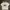 T-SHIRT SNSB