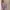 Sweater Crop photo 1