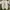 Nike Streetwear Sneakers Pria white black photo 6