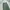 Uniqlo Wide Straight Cargo Pants