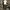 CORDUROY PANTS BAGGY BROWN - DRESS QUEEN  photo 3