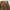 CORDUROY PANTS BAGGY BROWN - DRESS QUEEN  photo 5