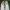 Nike Sportswear Sneakers Pria white photo 4