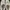 Nike Sportswear Sneakers Pria brown photo 5