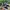 VANS Streetwear Skater Sneakers Pria white black photo 1