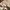 VANS Casual Sneakers Pria tan photo 2