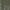 Fatigue Pants Olive Green by Gu photo 3