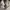 Sepatu shoes sneakers Reebok classic leather x kendrick lama photo 8