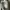 On Cloud X 5 100% Authentic  photo 5