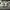 On Cloud X 5 100% Authentic  photo 7