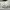 On Cloud X 5 100% Authentic  photo 3