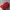 K2 Vintage Sportswear Hat Pria Multicolor