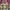 Vintage Nepenthes western flannel shirt photo 3