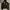 HOODIE SNSB photo 1