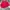 PIKO CREWNECK MERAH photo 2