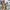 vest atasan kutung premi stephanie rogers size 2x photo 4